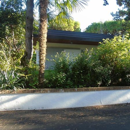 Villa Petra Λινιάνο Σαμπιαντόρο Εξωτερικό φωτογραφία